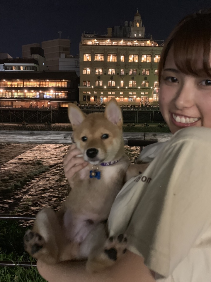 コンプリート 柴犬 カフェ 京都 バイト